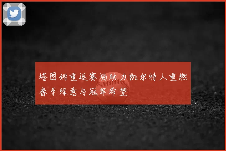 塔图姆重返赛场助力凯尔特人重燃春季绿意与冠军希望