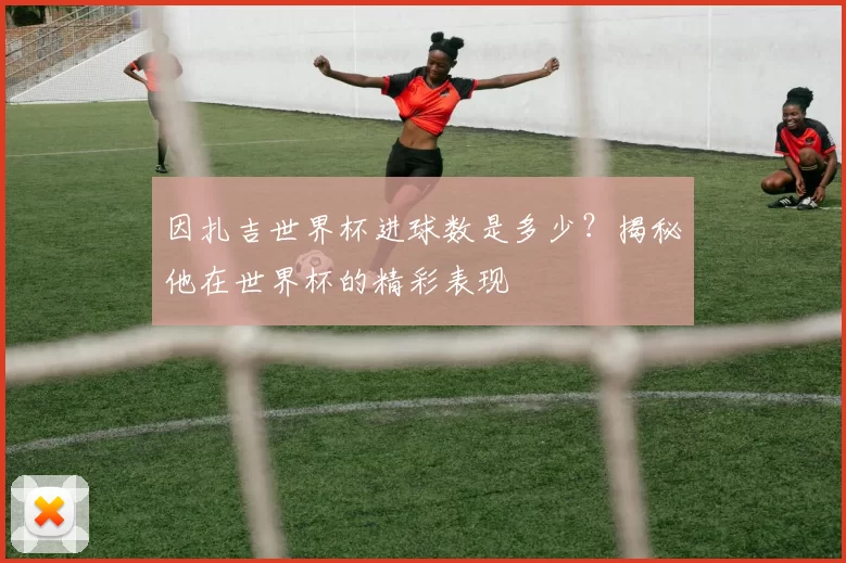 因扎吉世界杯进球数是多少？揭秘他在世界杯的精彩表现