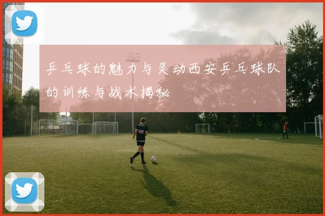 乒乓球的魅力与灵动西安乒乓球队的训练与战术揭秘