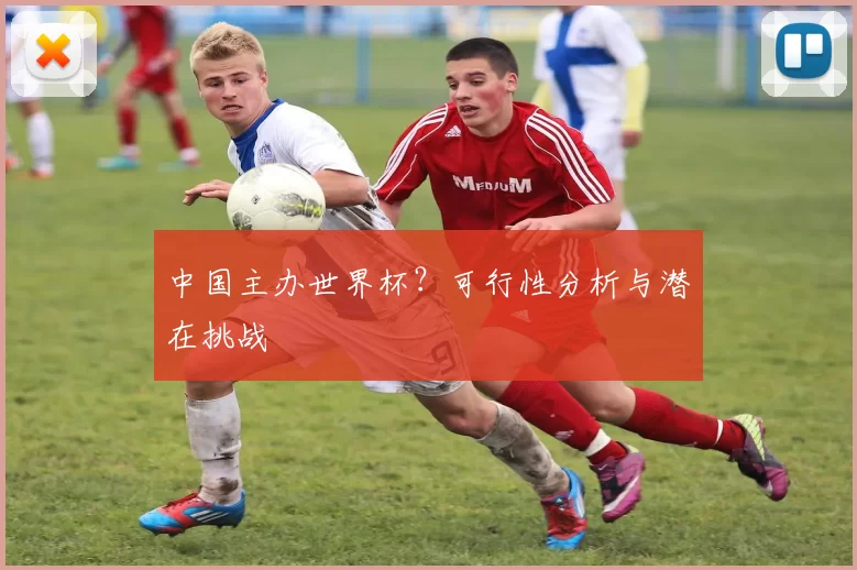 中国主办世界杯？可行性分析与潜在挑战