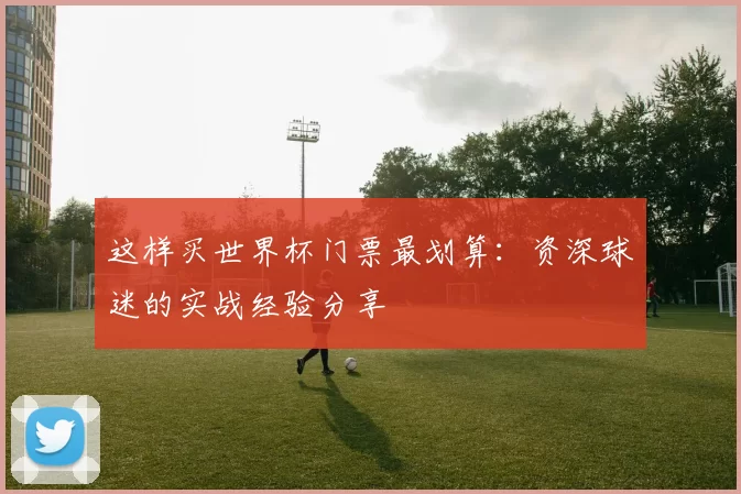 这样买世界杯门票最划算：资深球迷的实战经验分享
