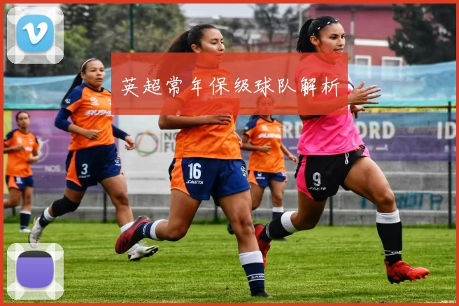 英超常年保级球队解析
