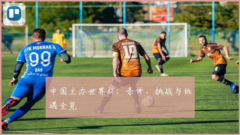 中国主办世界杯：条件、挑战与机遇全览