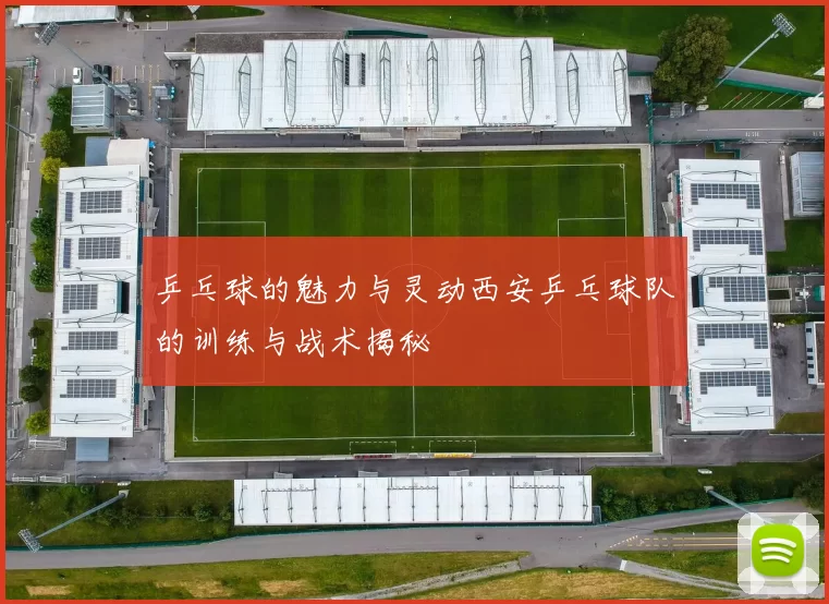 乒乓球的魅力与灵动西安乒乓球队的训练与战术揭秘