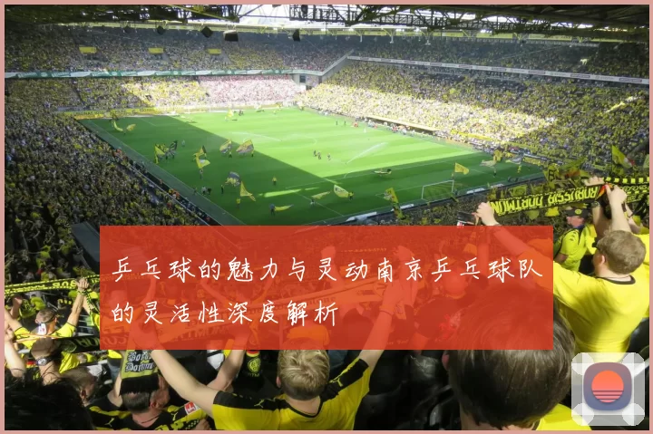 乒乓球的魅力与灵动南京乒乓球队的灵活性深度解析