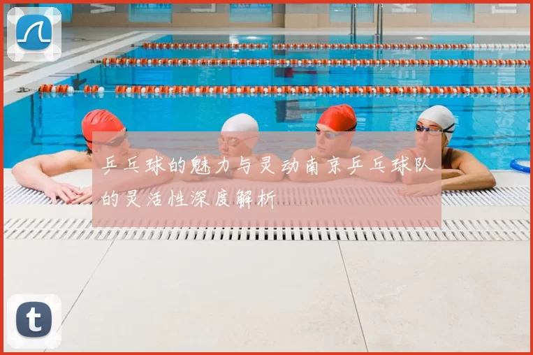 乒乓球的魅力与灵动南京乒乓球队的灵活性深度解析