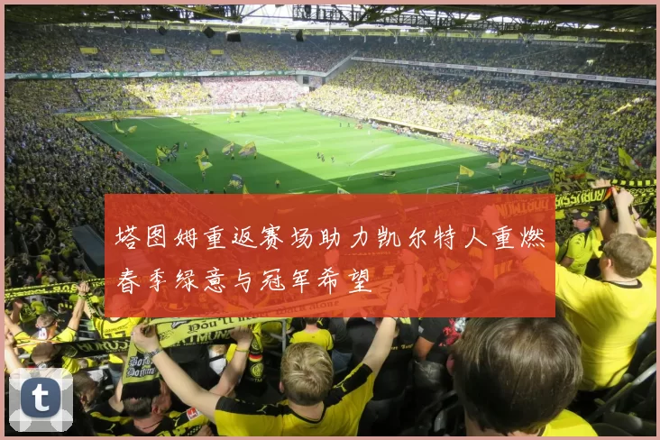塔图姆重返赛场助力凯尔特人重燃春季绿意与冠军希望