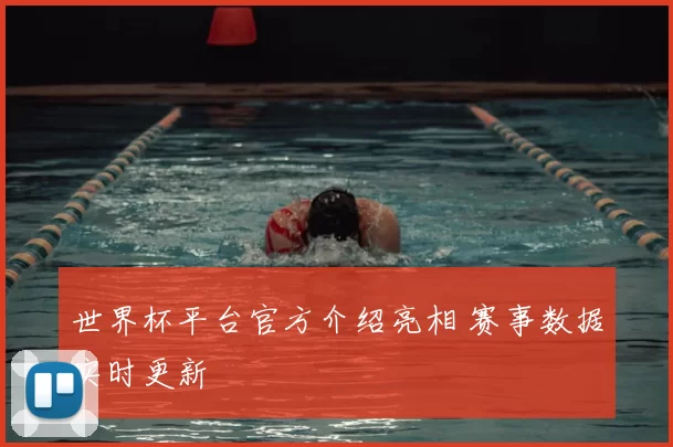 世界杯平台官方介绍亮相 赛事数据实时更新
