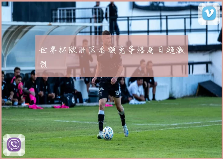 世界杯欧洲区名额竞争格局日趋激烈