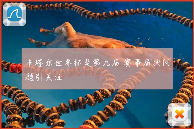 卡塔尔世界杯是第几届 赛事届次问题引关注