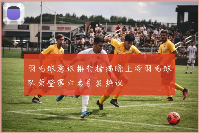 羽毛球意识排行榜揭晓上海羽毛球队荣登第六名引发热议