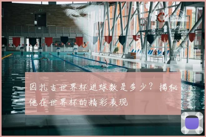 因扎吉世界杯进球数是多少？揭秘他在世界杯的精彩表现
